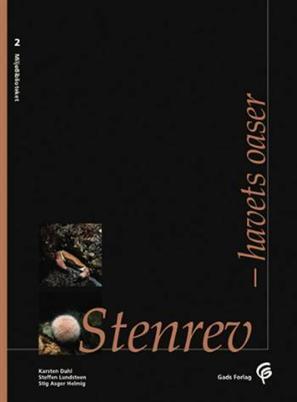 Stenrev (2)