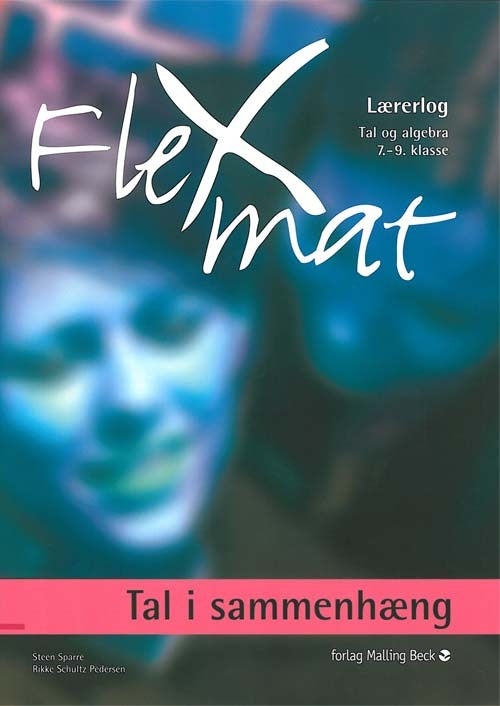 FlexMat, Tal i sammenhæng, Lærerlog