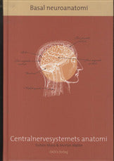 Basal Neuroanatomi