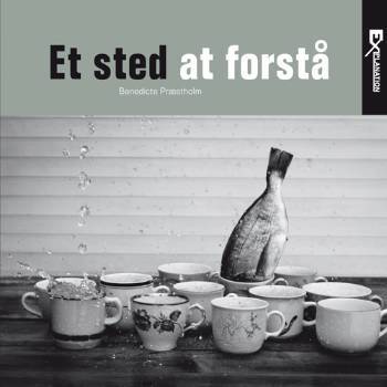 Et sted at forstå