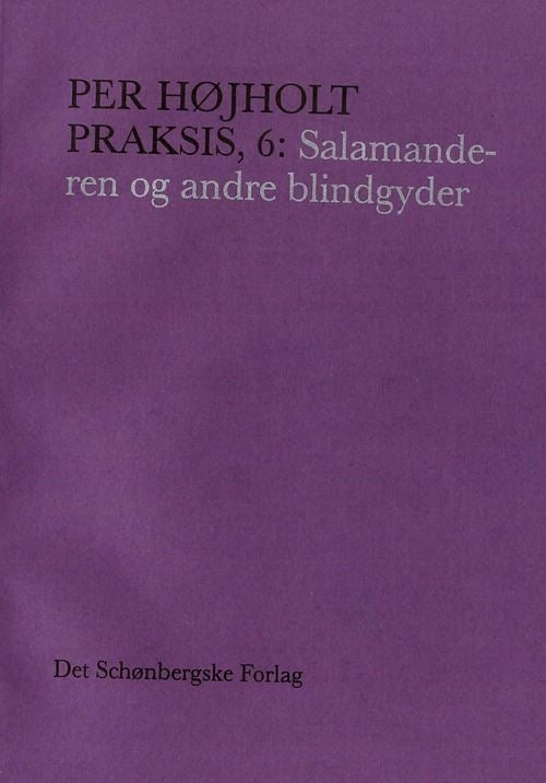 Praksis, 6: Salamanderen og andre blindgyder