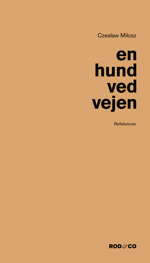En hund ved vejen