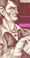 Knut Hamsun som modernist