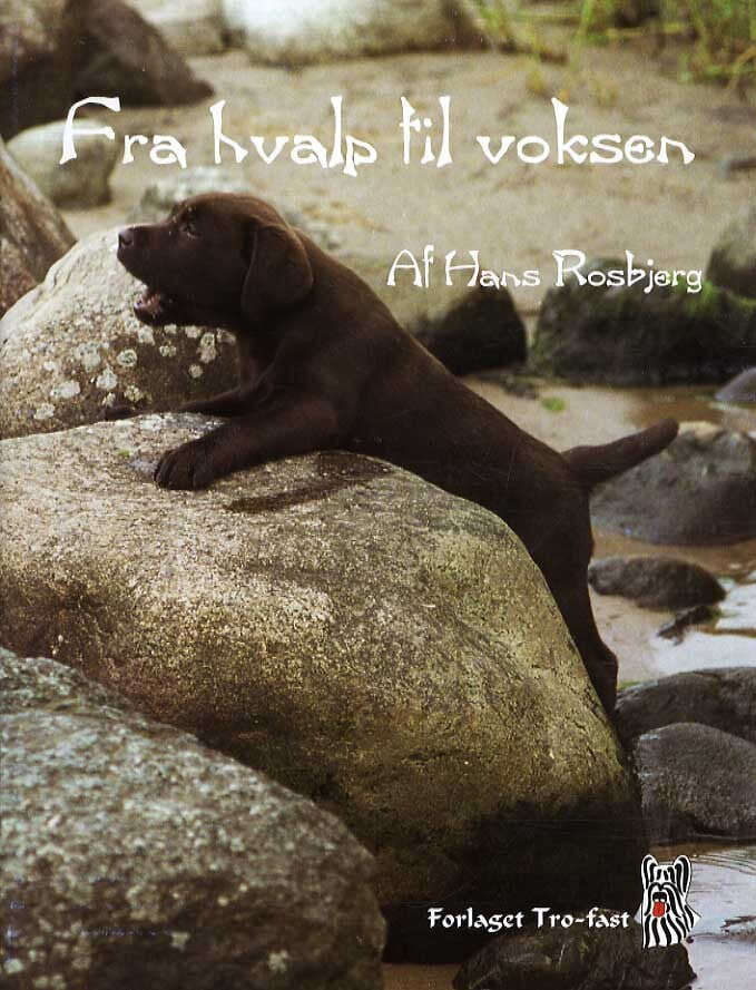 Fra hvalp til voksen