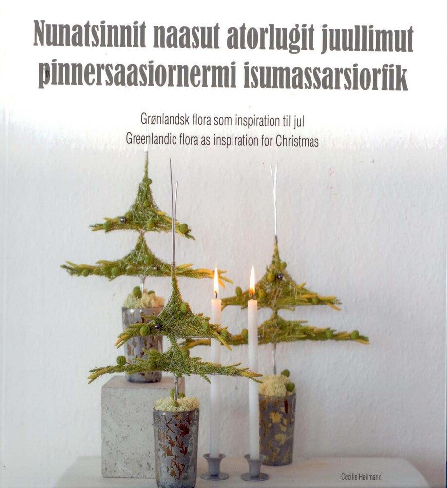 Nunatsinnit naasut atorlugit juullimut pinnersaasiornermi isumassarsiorfik