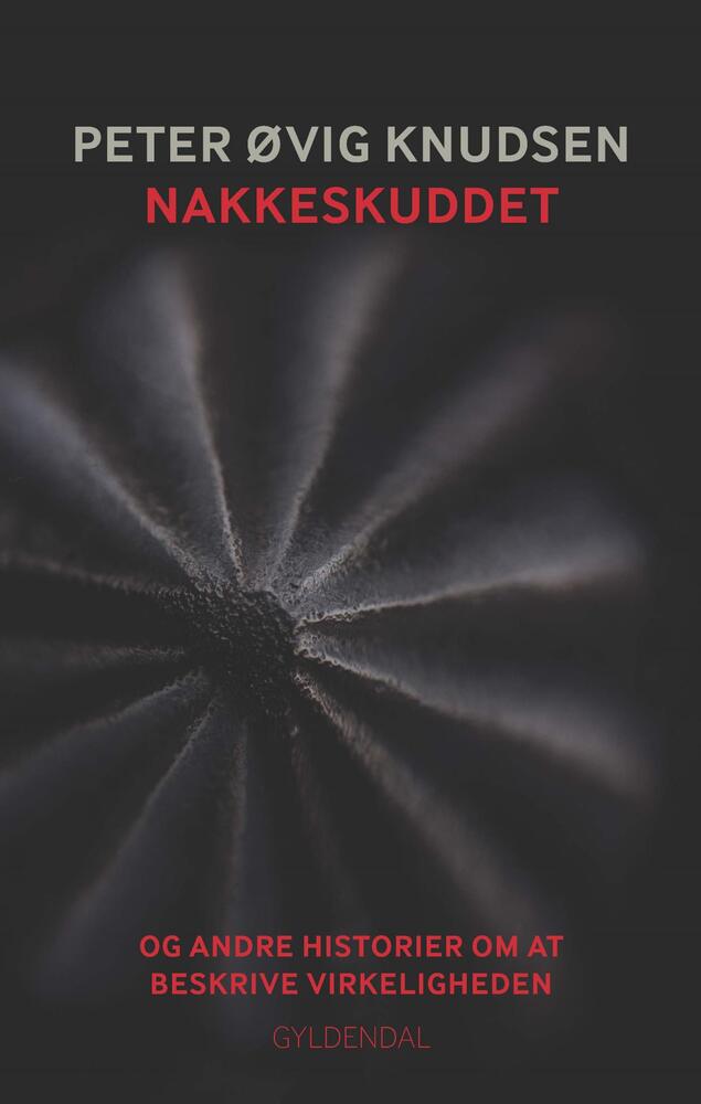 Nakkeskuddet og andre historier om at beskrive virkeligheden