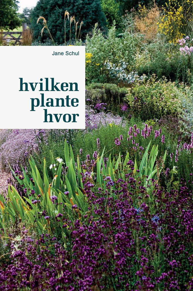 D1 Hvilken plante hvor