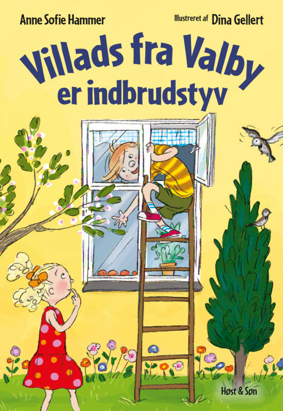 Villads fra Valby er indbrudstyv