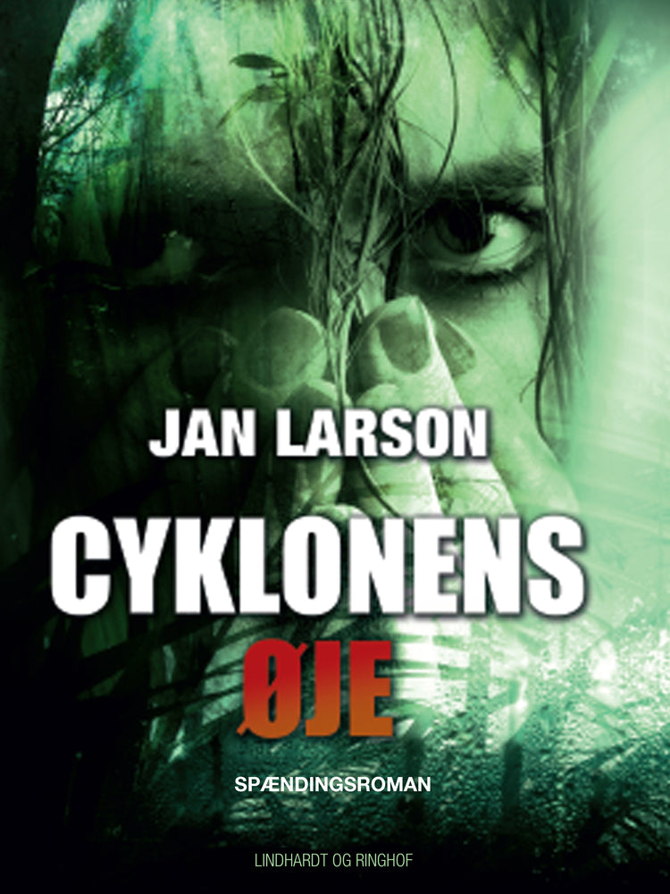 Cyklonens øje