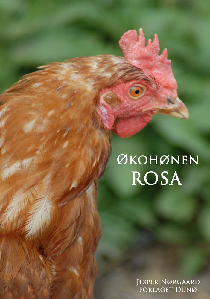 Økohønen Rosa