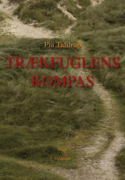 Trækfuglens kompas