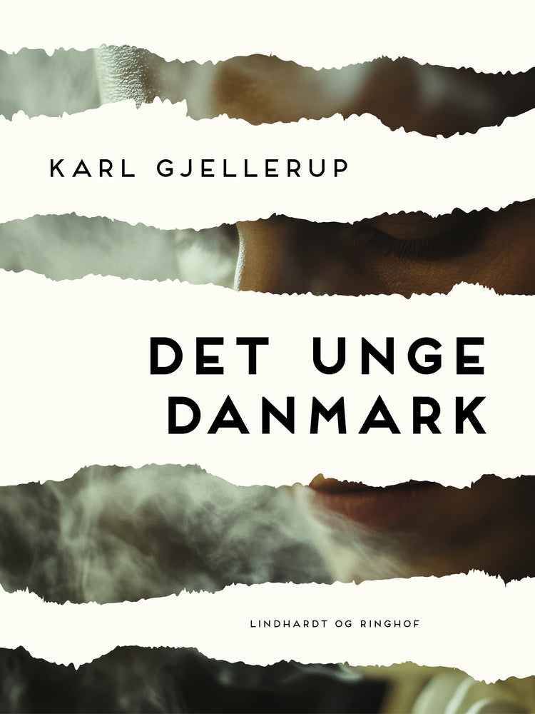 Det unge Danmark