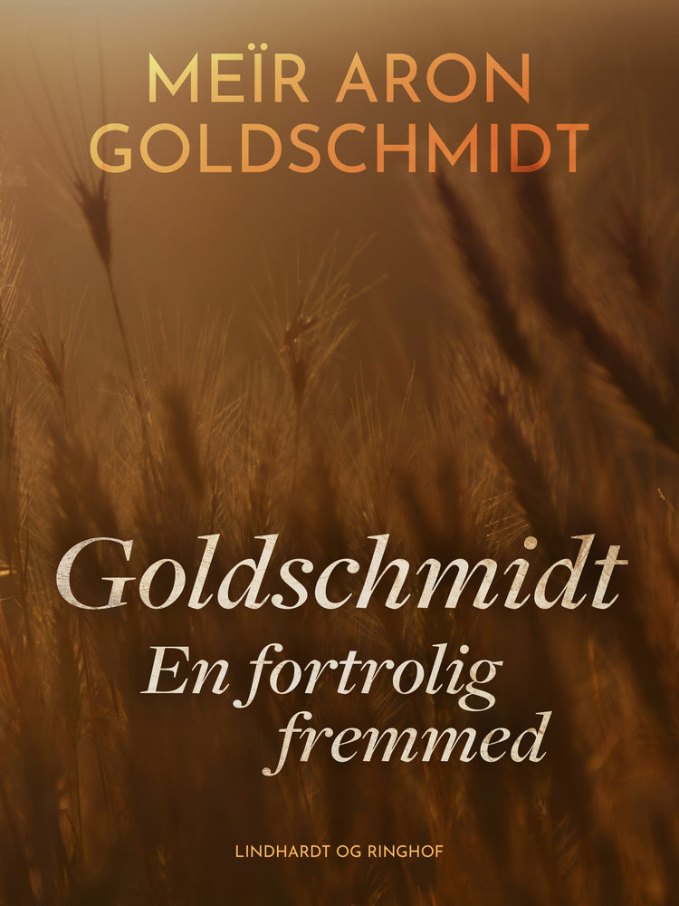 Goldschmidt. En fortrolig fremmed
