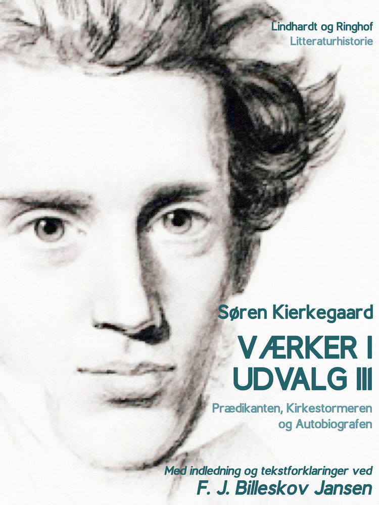 Værker i udvalg 3 - Prædikanten, Kirkestormeren og Autobiografen