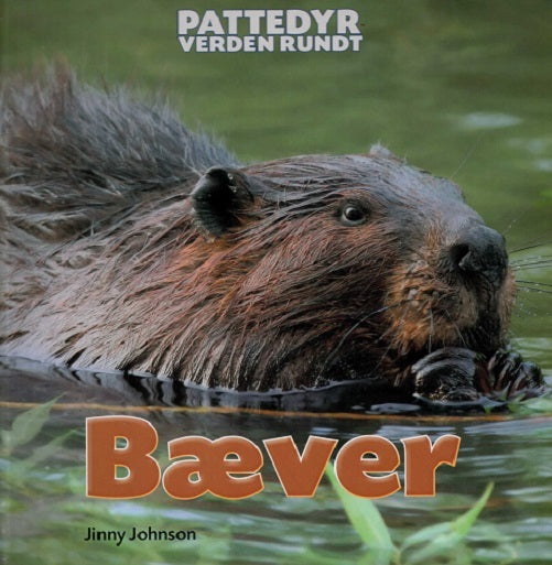 Bæver