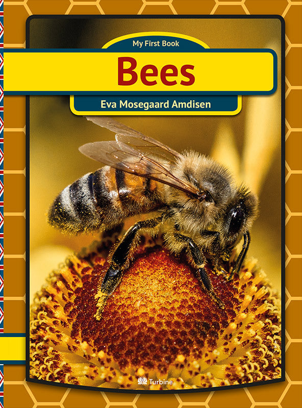 Bees