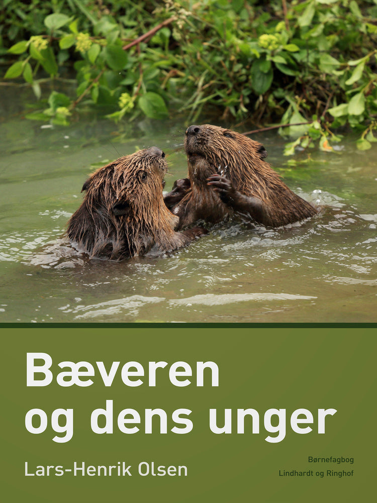 Bæveren og dens unger