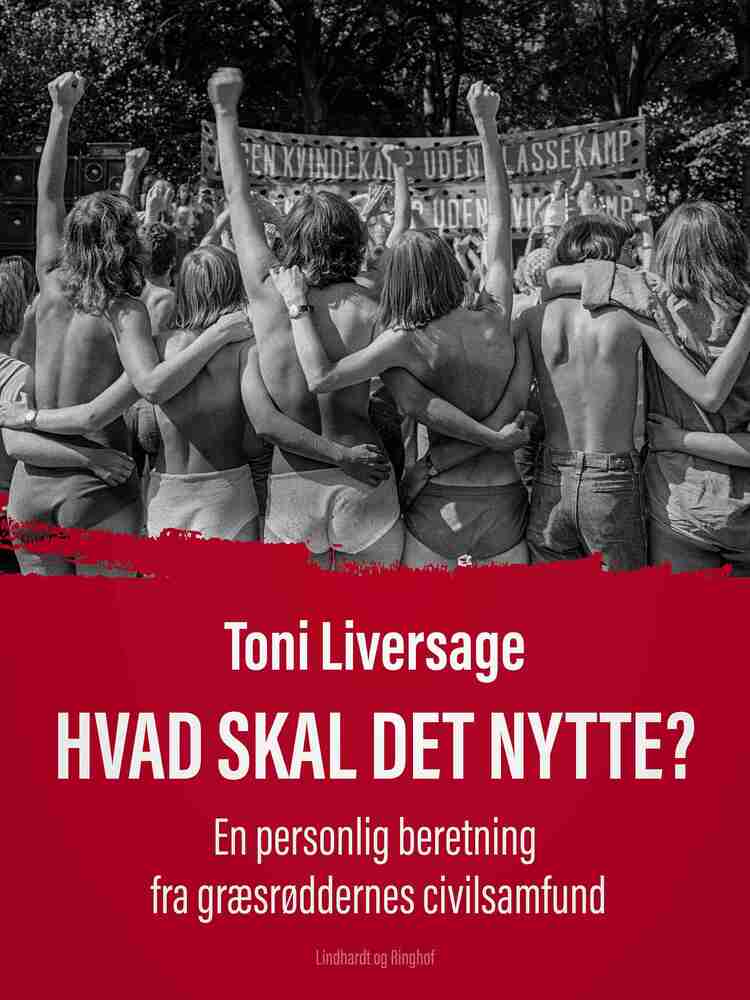 Hvad skal det nytte?. En personlig beretning fra græsrøddernes civilsamfund