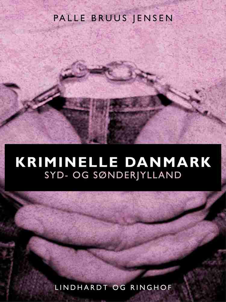 Kriminelle Danmark. Syd & Sønderjylland
