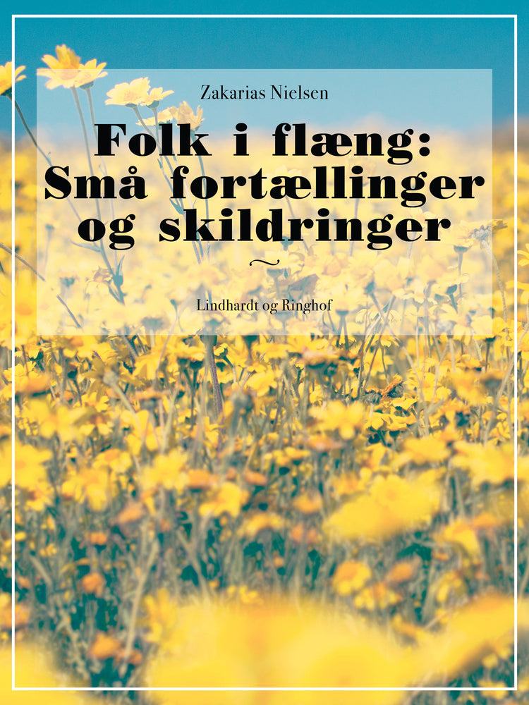 Folk i flæng: Små fortællinger og skildringer