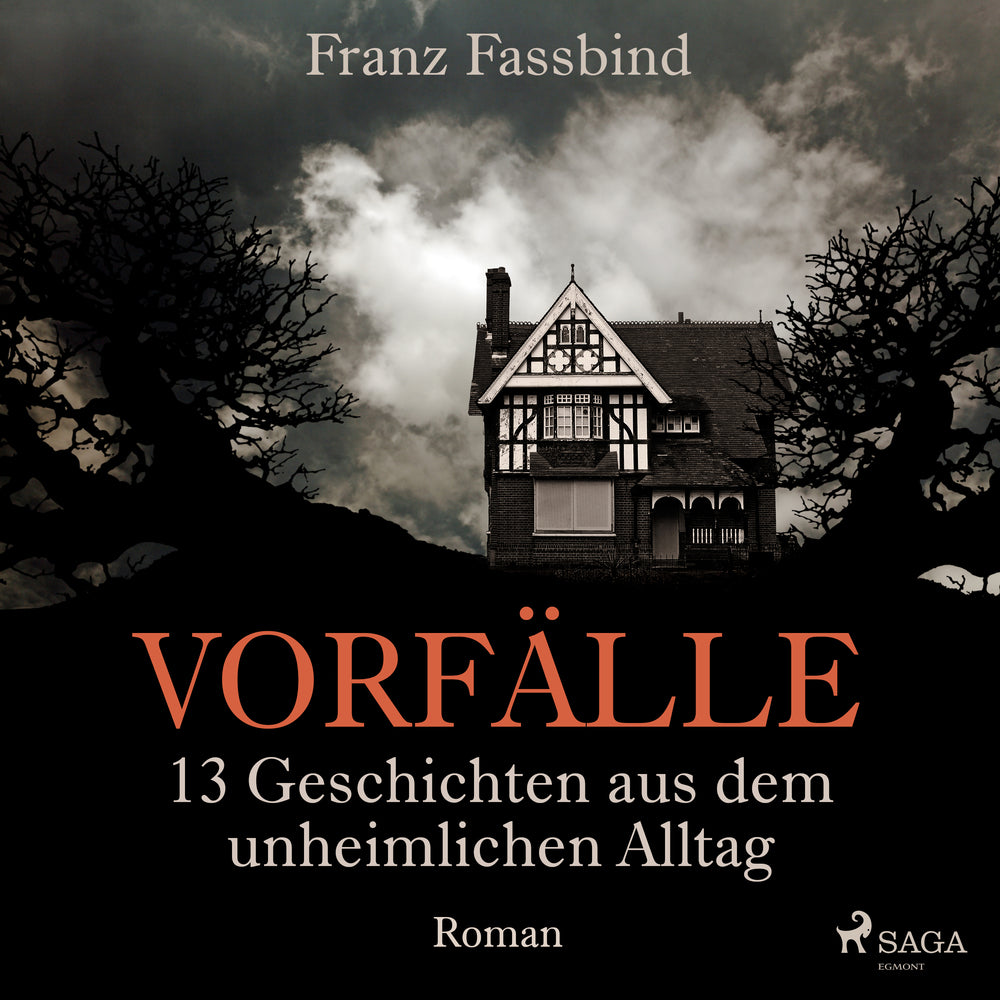 Vorfälle. 13 Geschichten aus dem unheimlichen Alltag