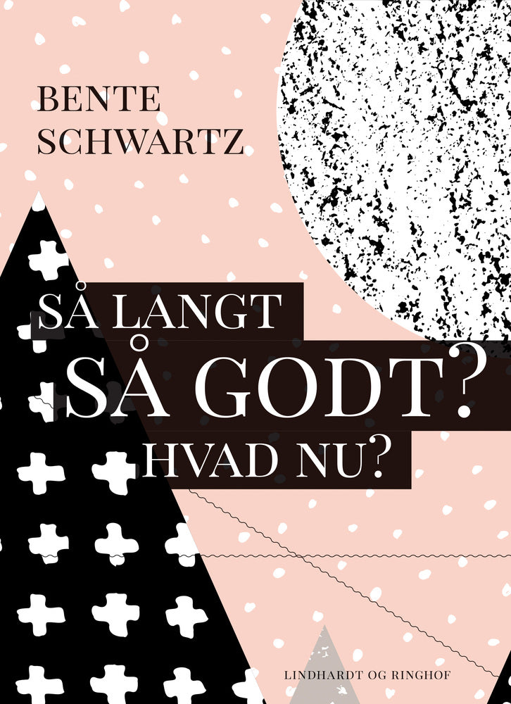 Så langt - Så godt? Hvad nu?