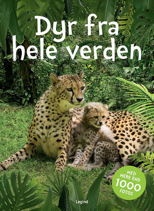 Dyr fra hele verden