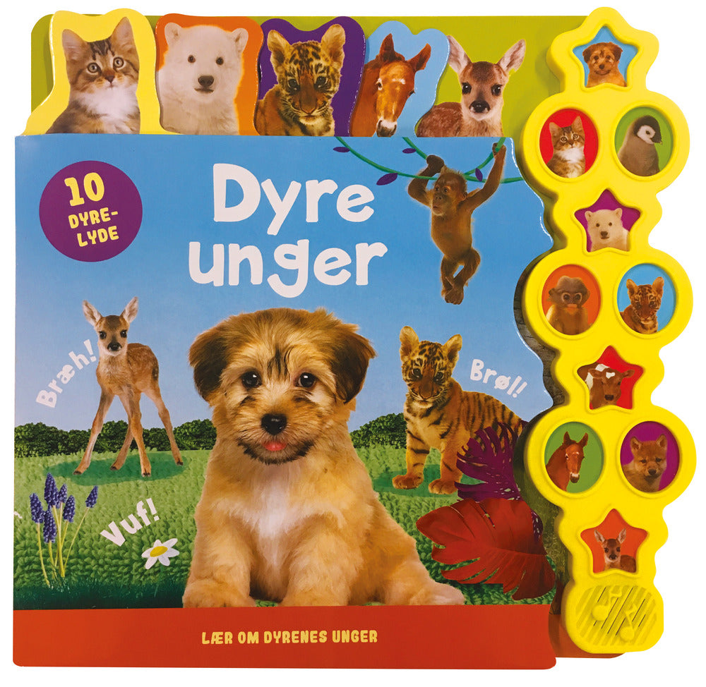 Lyt og lær om: Dyreunger