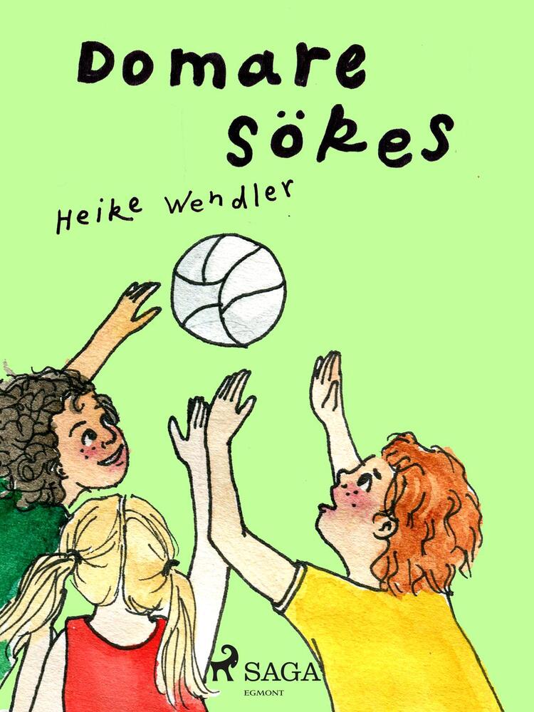 Domare sökes