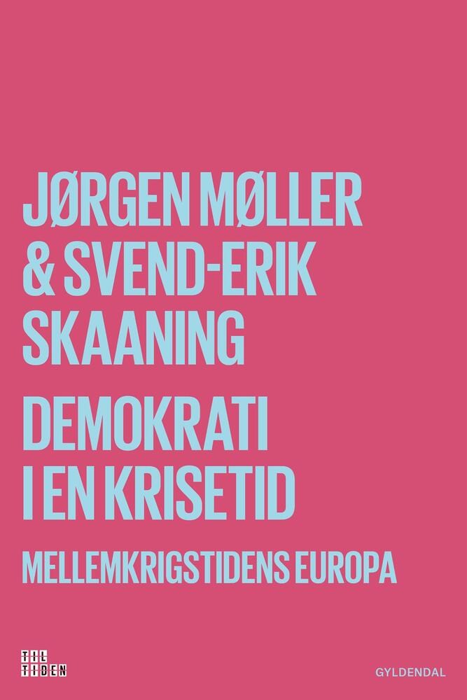 Demokrati i en krisetid