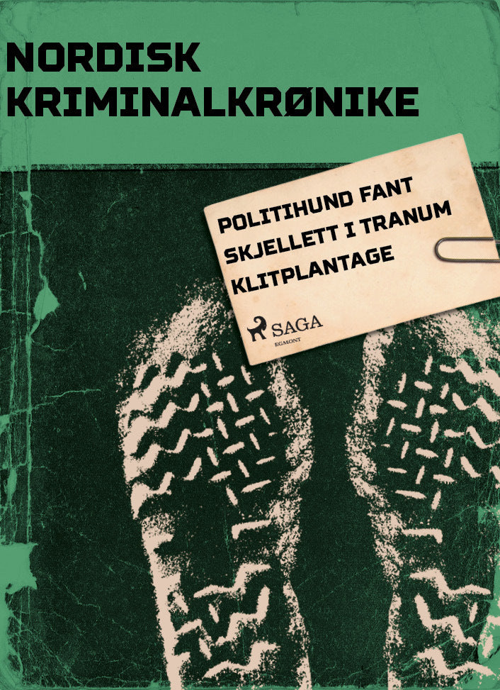 Politihund fant skjellett i Tranum Klitplantage