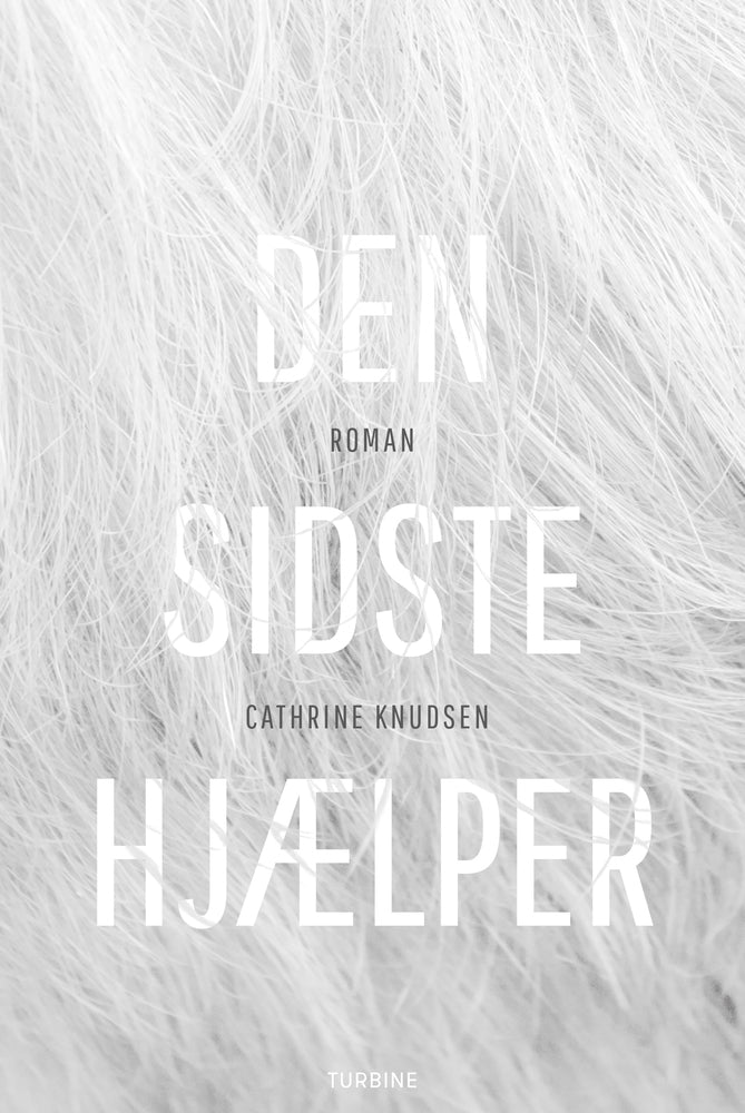Den sidste hjælper