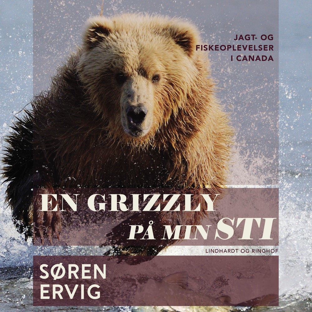 En grizzly på min sti