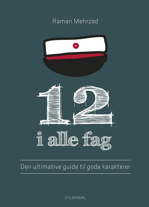 12 i alle fag
