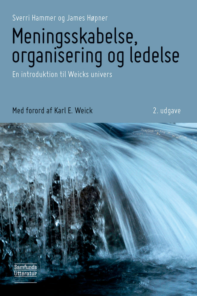D2 Meningsskabelse, organisering og ledelse