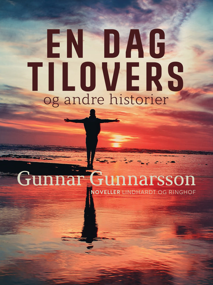En dag tilovers og andre historier
