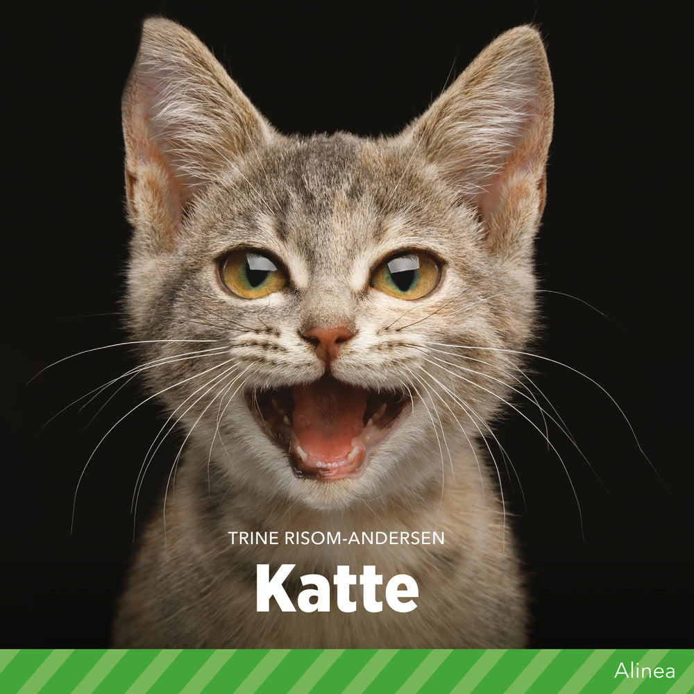 Katte