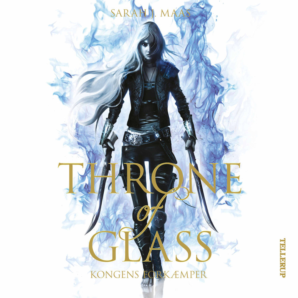 Throne of Glass #1: Kongens forkæmper - Throne of Glass