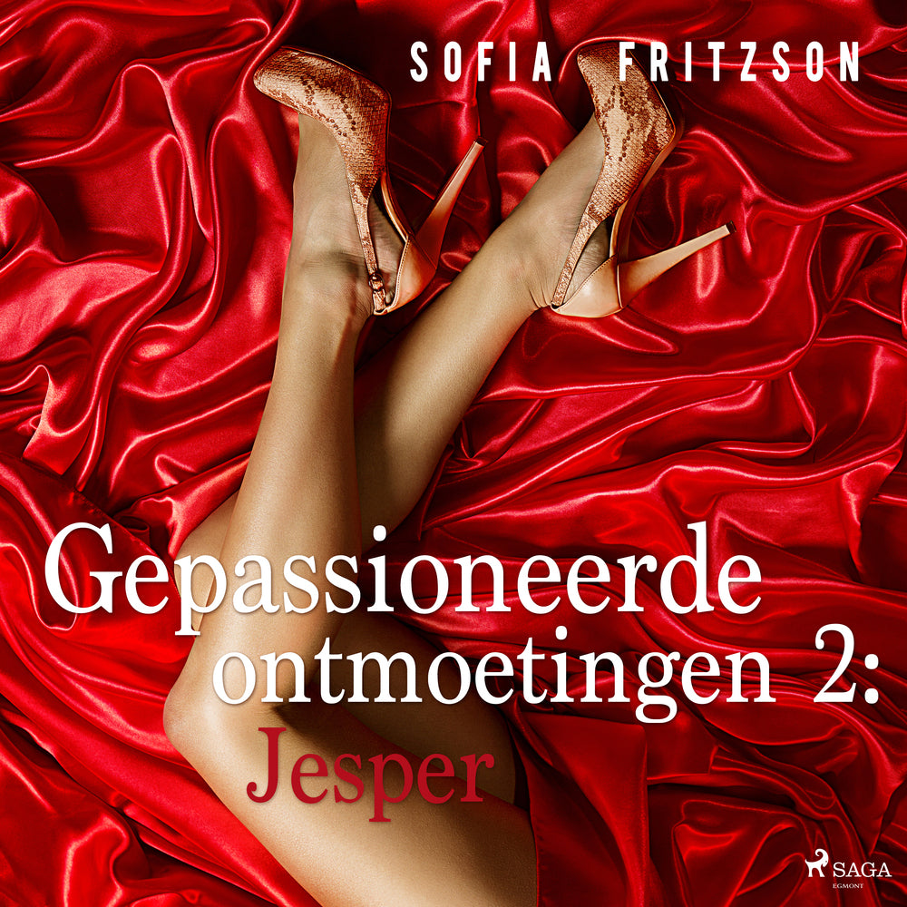 Gepassioneerde ontmoetingen 2: Jesper - erotisch verhaal