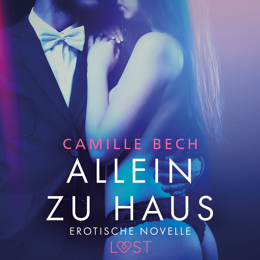 Allein zu Haus - Erotische Novelle