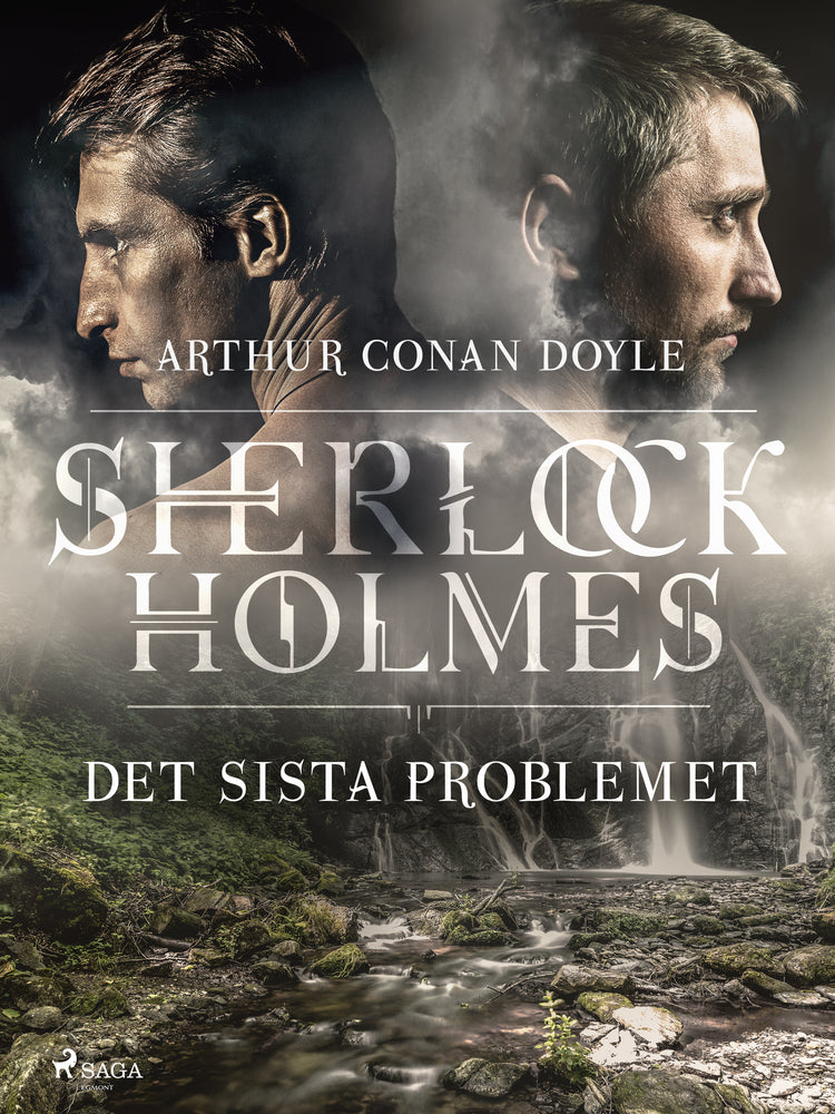 Det sista problemet