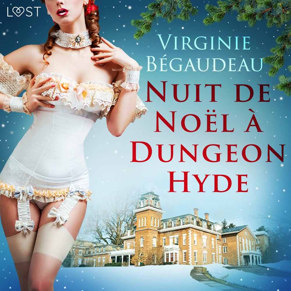 Nuit de Noël à Dungeon Hyde – Une nouvelle érotique