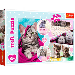 Puslespil Lovely kittens 160 brikker