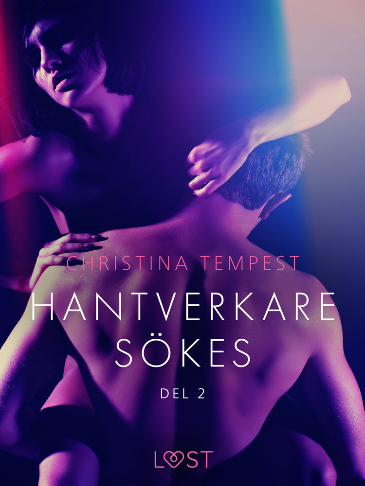 Hantverkare sökes Del 2 - erotisk novell