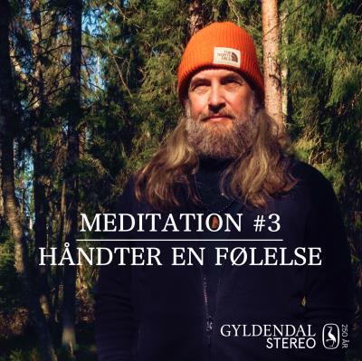 Håndter En Følelse