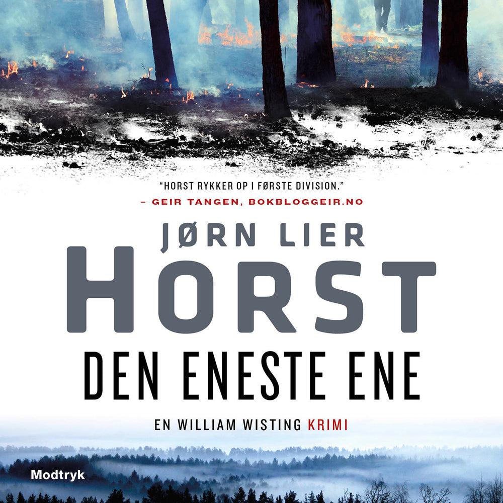 Den eneste ene