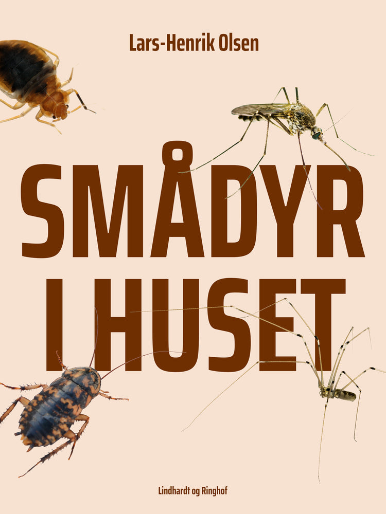 Smådyr i huset