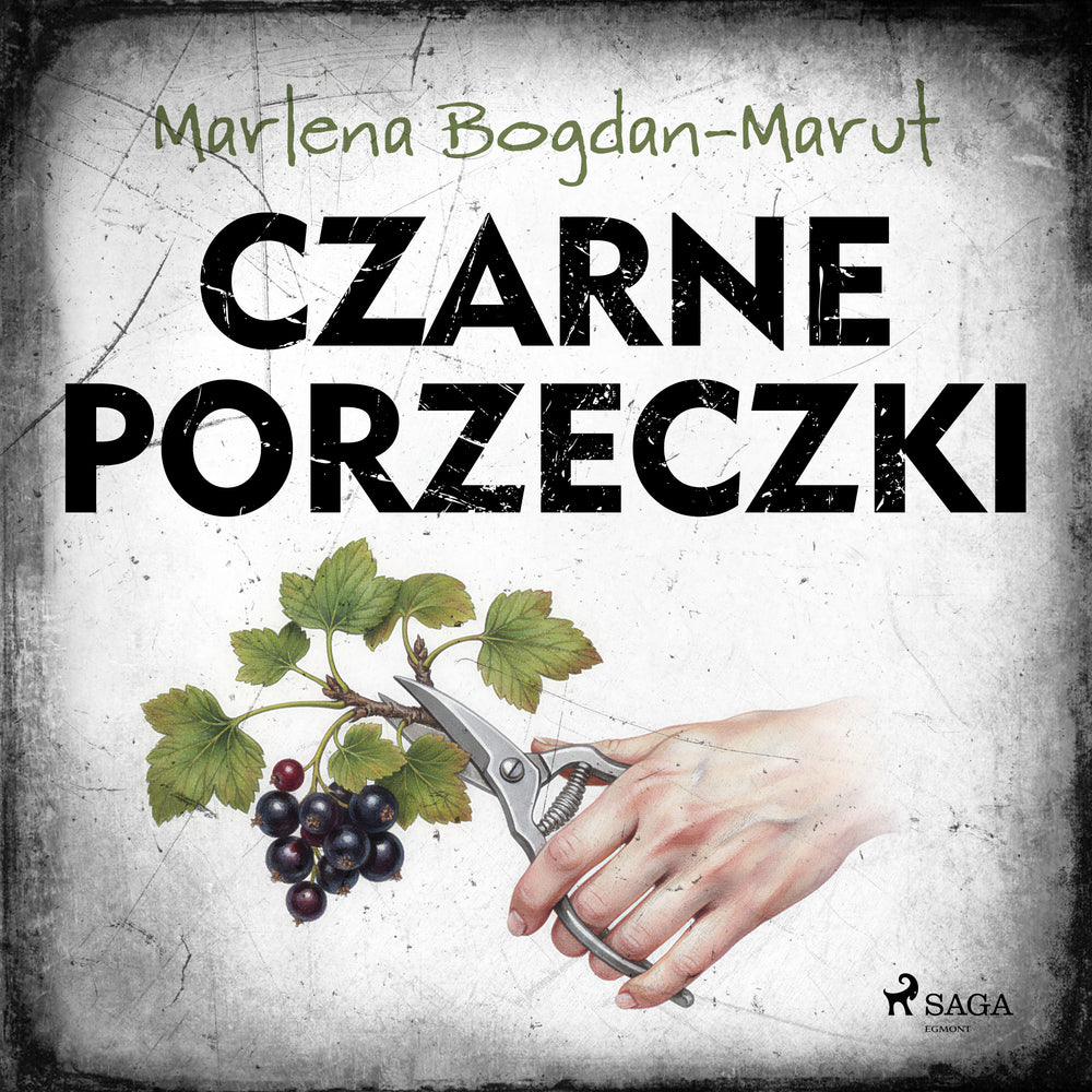 Czarne porzeczki