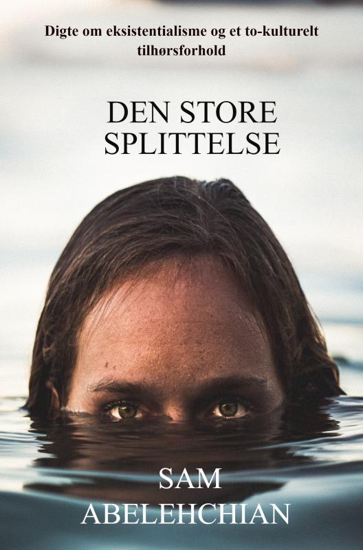 Den store splittelse