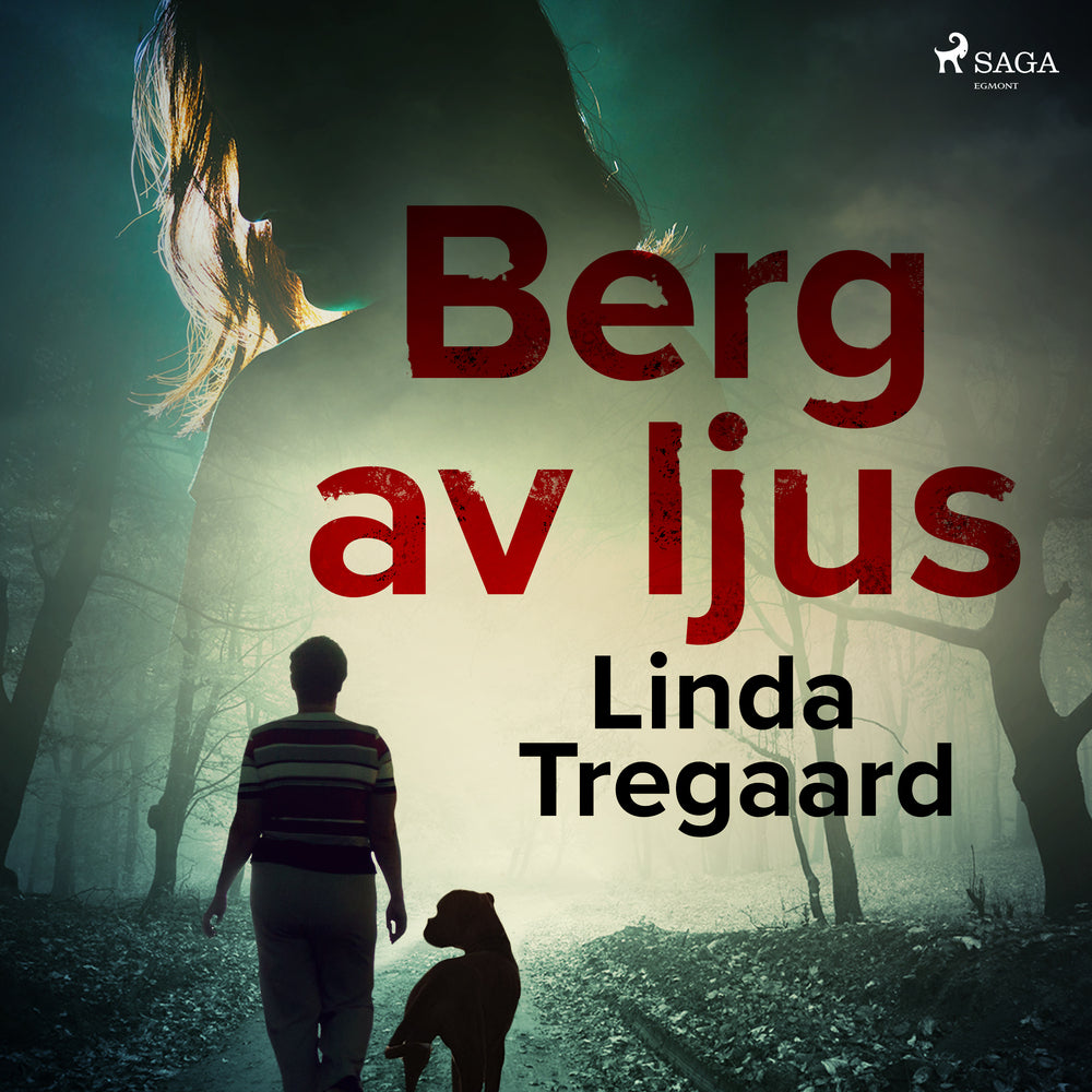 Berg av ljus